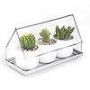 Лоток для выращивания растений Micro Green House, прозрачный, QUALY