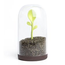 Контейнер для сыпучих продуктов Sprout Jar, QUALY