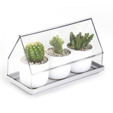 Лоток для выращивания растений Micro Green House, прозрачный, QUALY
