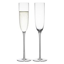 Набор бокалов для шампанского Celebrate, 160 мл, 2 шт., Liberty Jones