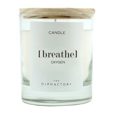 Свеча ароматическая The Olphactory, Breathe, Oxygen, 40 ч, Ambientair