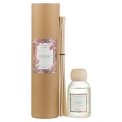 Диффузор ароматический Gifting, Cinnamon&Apple, 100 мл, Ambientair