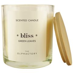 Свеча ароматическая The Olphactory, Bliss, Green Rhubarb, 40 ч, Ambientair