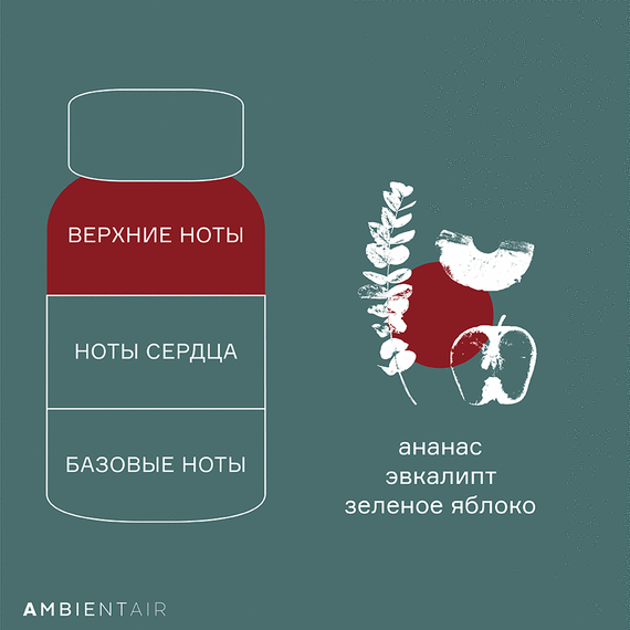 Диффузор ароматический Gifting, Cinnamon&Apple, 100 мл, Ambientair, изображение 5