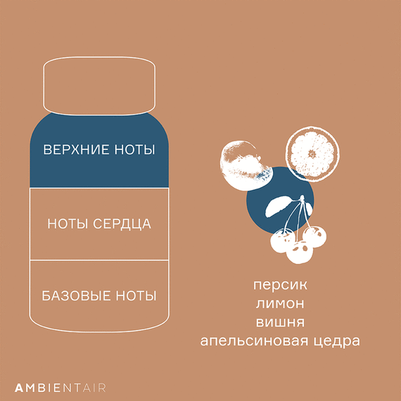 Диффузор ароматический Gifting, Bisquit&Berries, 100 мл, Ambientair, изображение 5