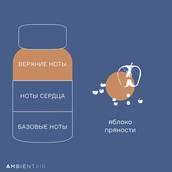 Диффузор ароматический Gifting, Caramel&Apple, 100 мл, Ambientair, изображение 6