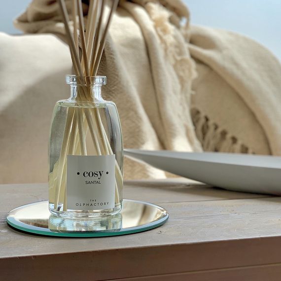 Диффузор ароматический The Olphactory, Cosy, Santal, 250 мл, Ambientair, изображение 2