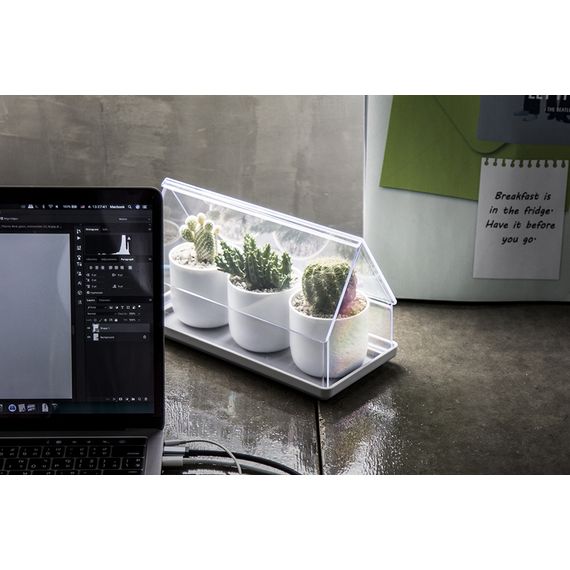 Лоток для выращивания растений Micro Green House, прозрачный, QUALY, изображение 8