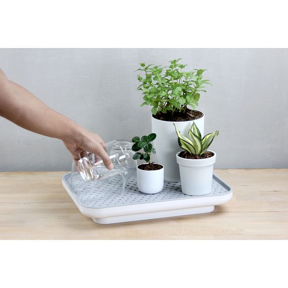 Лоток для полива растений Oasis Tray, белый, QUALY, изображение 5