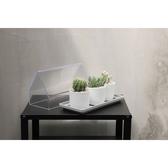 Лоток для выращивания растений Micro Green House, прозрачный, QUALY, изображение 2