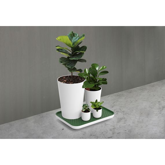 Лоток для полива растений Oasis Tray, белый, QUALY, изображение 7