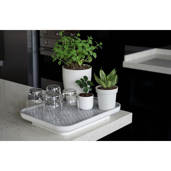Лоток для полива растений Oasis Tray, белый, QUALY, изображение 2