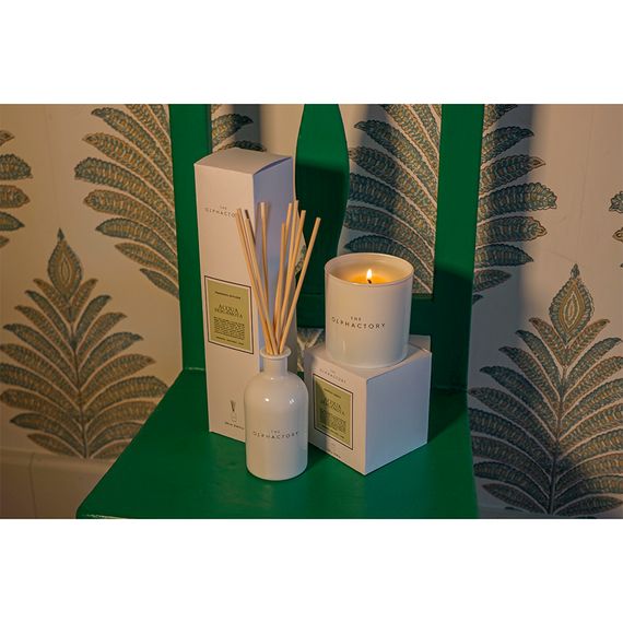 Свеча ароматическая The Olphactory, White Insignia, Acqua Bergamota, 60 ч, Ambientair, изображение 3