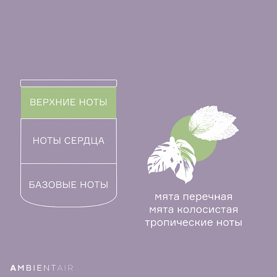 Свеча ароматическая Sublime, Neroli&Basil, 40 ч, Ambientair, изображение 7