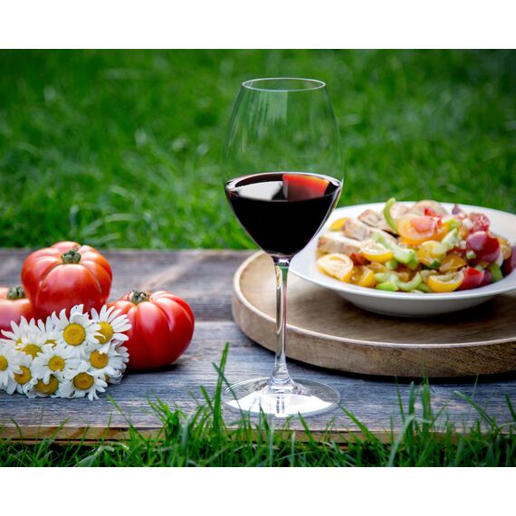 Набор бокалов Vinum Tempranillo, 2 шт., 420 мл, 6416/31, Riedel, изображение 6