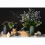 Диффузор ароматический Italian Cypress из коллекции Edge, 200 мл, бежевый, Tkano, изображение 9