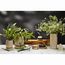 Диффузор ароматический Italian Cypress из коллекции Edge, 200 мл, бежевый, Tkano, изображение 5