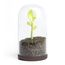 Контейнер для сыпучих продуктов Sprout Jar, QUALY
