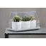 Лоток для выращивания растений Micro Green House, прозрачный, QUALY, изображение 5