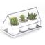 Лоток для выращивания растений Micro Green House, прозрачный, QUALY