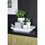 Лоток для полива растений Oasis Tray, белый, QUALY, изображение 4
