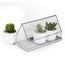 Лоток для выращивания растений Micro Green House, прозрачный, QUALY, изображение 9