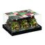 Набор декоративных свечей Green Miracle из коллекции New Year Essential, 6 шт., Tkano, изображение 6