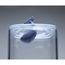 Органайзер Moby Whale Ocean, QUALY, изображение 6