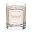 Свеча ароматическая Gifting, Gingerbread&Orange (новая), 40 ч, Ambientair, изображение 2