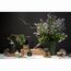 Свеча ароматическая Cypress, Jasmine & Patchouli из коллекции Edge, серый, 30 ч, Tkano, изображение 6