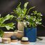 Свеча ароматическая Green tea & Pear blossom из коллекции Edge, бежевый, 30 ч, Tkano, изображение 8