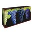Набор из 4-х бокалов (фужеров) для красного вина Buy 3 get 4 SYRAH, высота: 23,5 см, объем: 590 мл, материал: хрусталь, серия Vinum XL, 7416/41, Riedel, Австрия, изображение 4